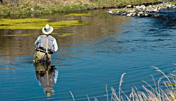 Author Skip Morris fly fishing a pool for big rainbows on Crab Creek in eastern Washington state