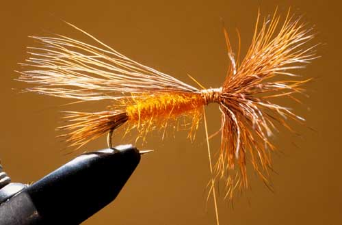 The Bullet Head for Dry Flies by Skip Morris