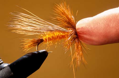 The Bullet Head for Dry Flies by Skip Morris