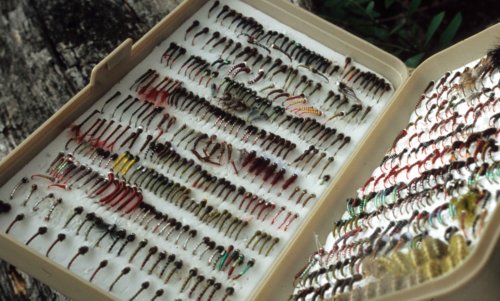 Chironomid Flies in a Fly Box