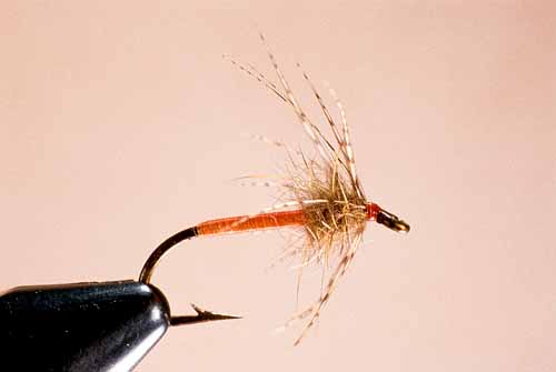 Wet Fly Hackles, Half-Stripped Method, Step 4